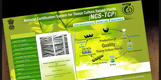 NCS-TCP
